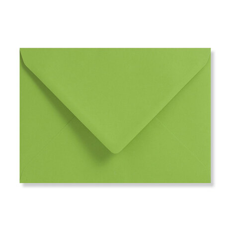 Appel groen C6 achterkant