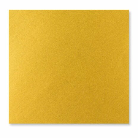 Goud 15 x 15 achterkant