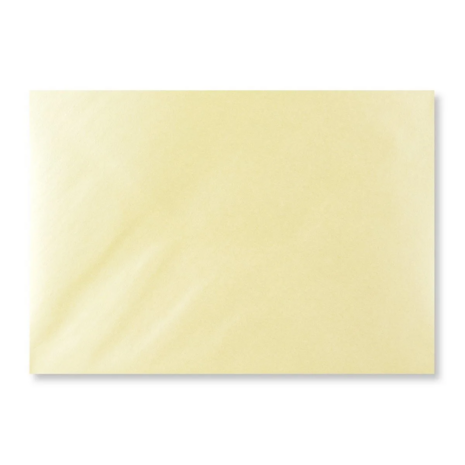 Metallic cr&egrave;me C5 achterkant
