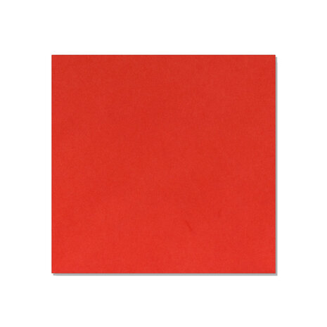 Rood 14 x 14 achterkant