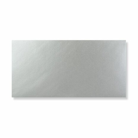 Zilver DL achterkant