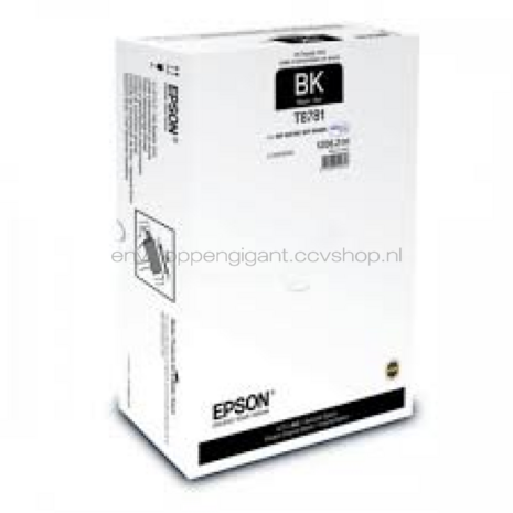 Epson T8781 zwart