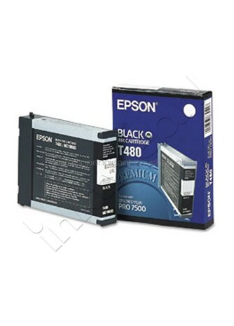 Epson T480 zwart