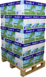 Double A Premium A4 Papier 200 pakken (80 grams) wit